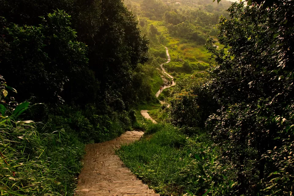 Photo of Cherapunjee, Meghalaya by Priyanka Gupta
