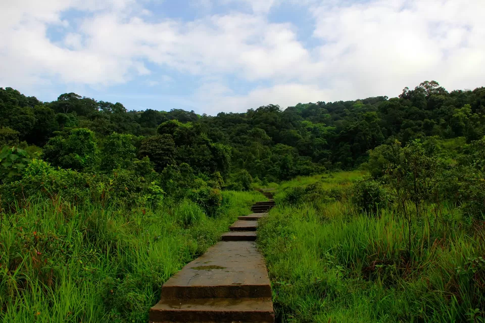 Photo of Cherapunjee, Meghalaya by Priyanka Gupta