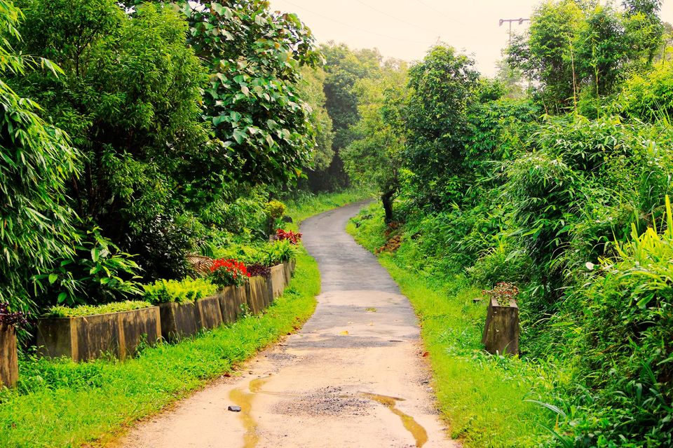 Photo of M E G H A L A Y A !!!!!! by Priyanka Gupta