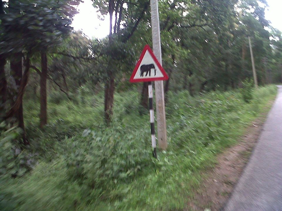 Photo of Kottiyoor Ride 1/11 by Chethan Shetty
