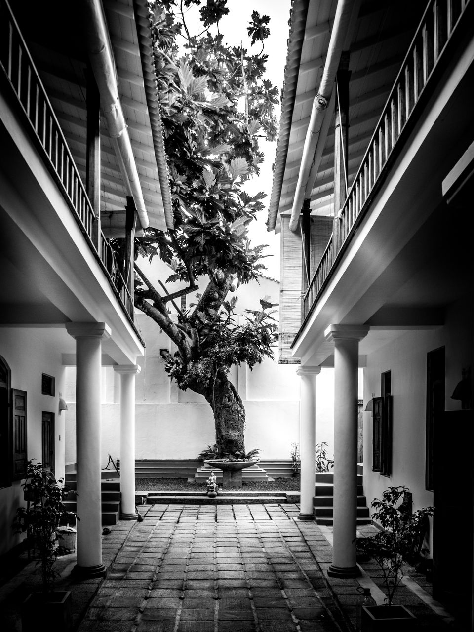 Photo of Best Photo Spots in the South Coast of Sri Lanka 3/5 by Nelusha Wijesurendra