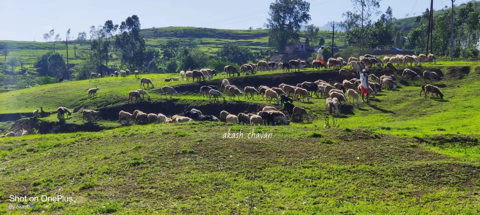 Photo of varandh ghat by akash chavan