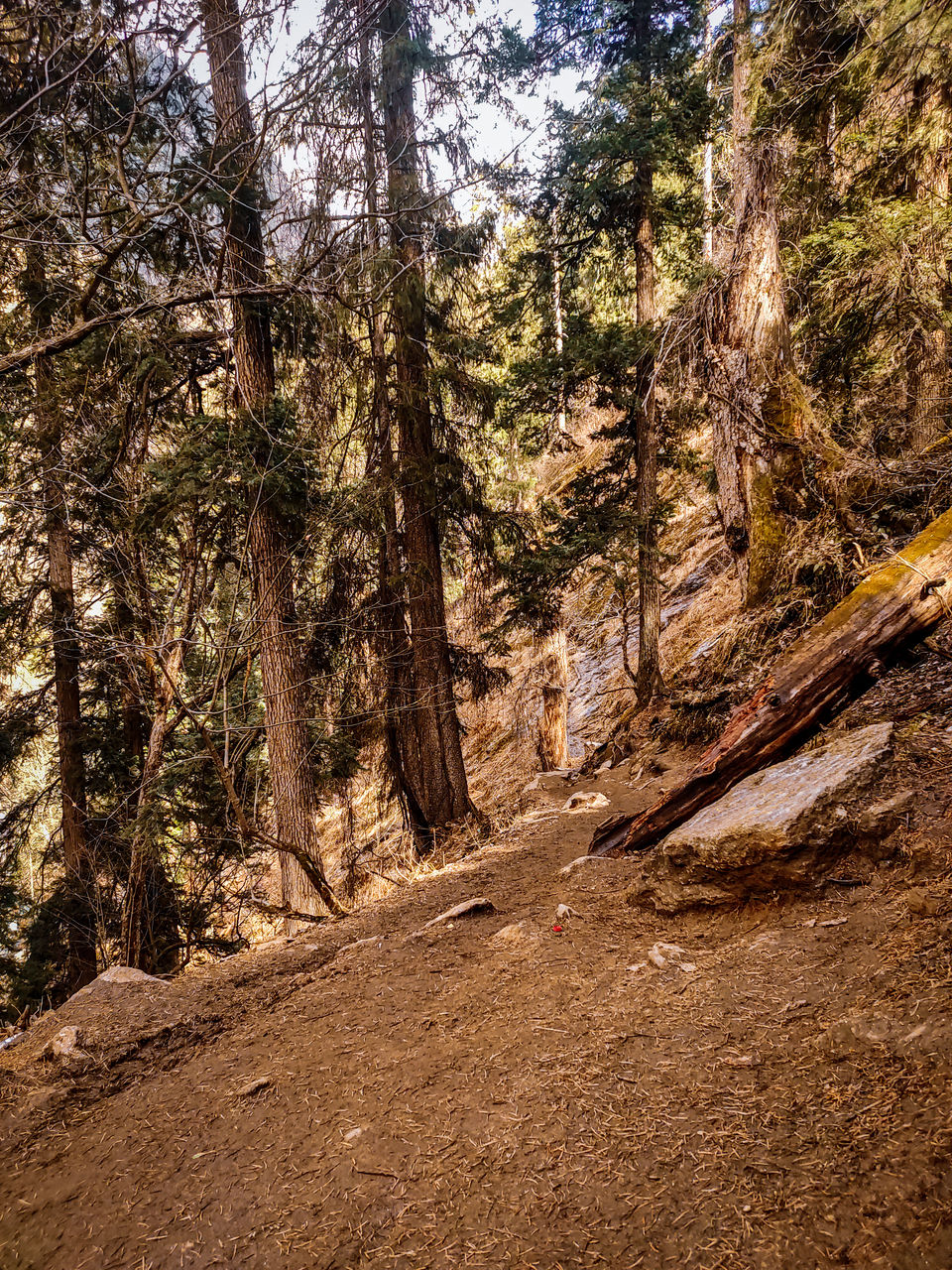 Photo of A Mystic Trek : Kheerganga 4/5 by ANIK SAHA