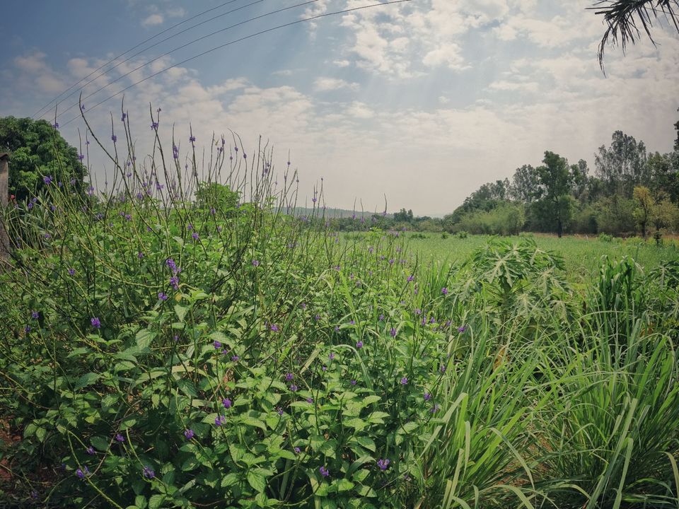 Photo of Trip to Kolhapur by Traveller Munda