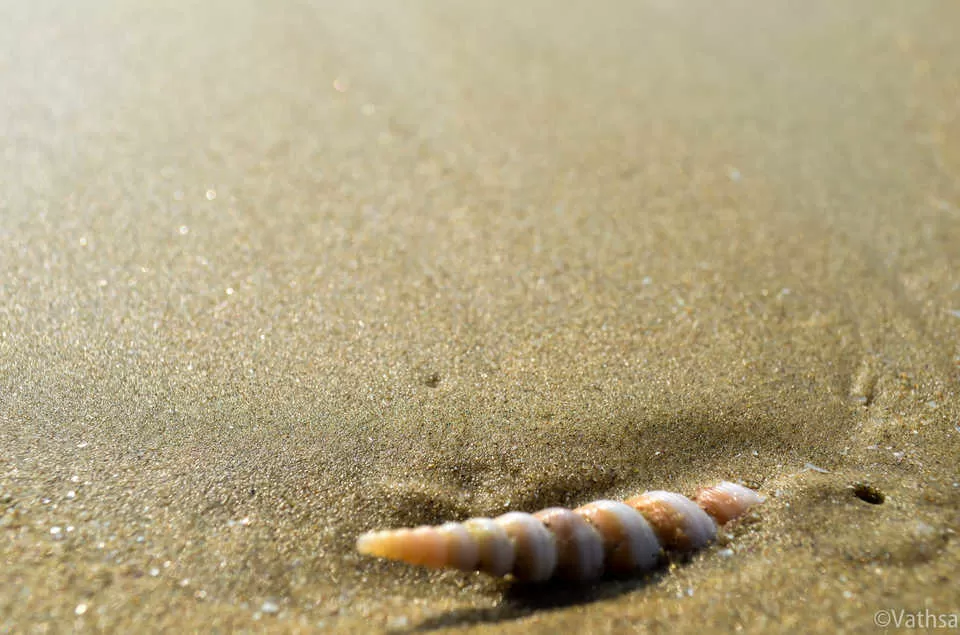 Photo of Kumta, Karnataka, India by Surjatapa Adak