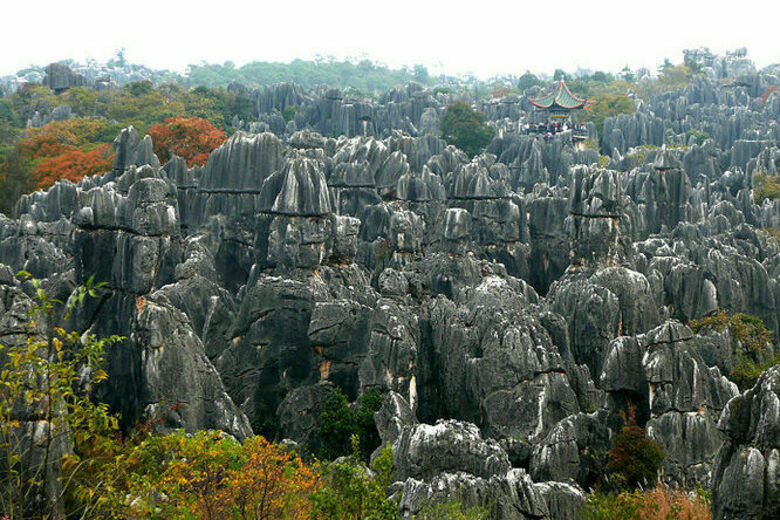 Photo of Stone Forest, Tangwanghe District, Yichun, China by Surjatapa Adak