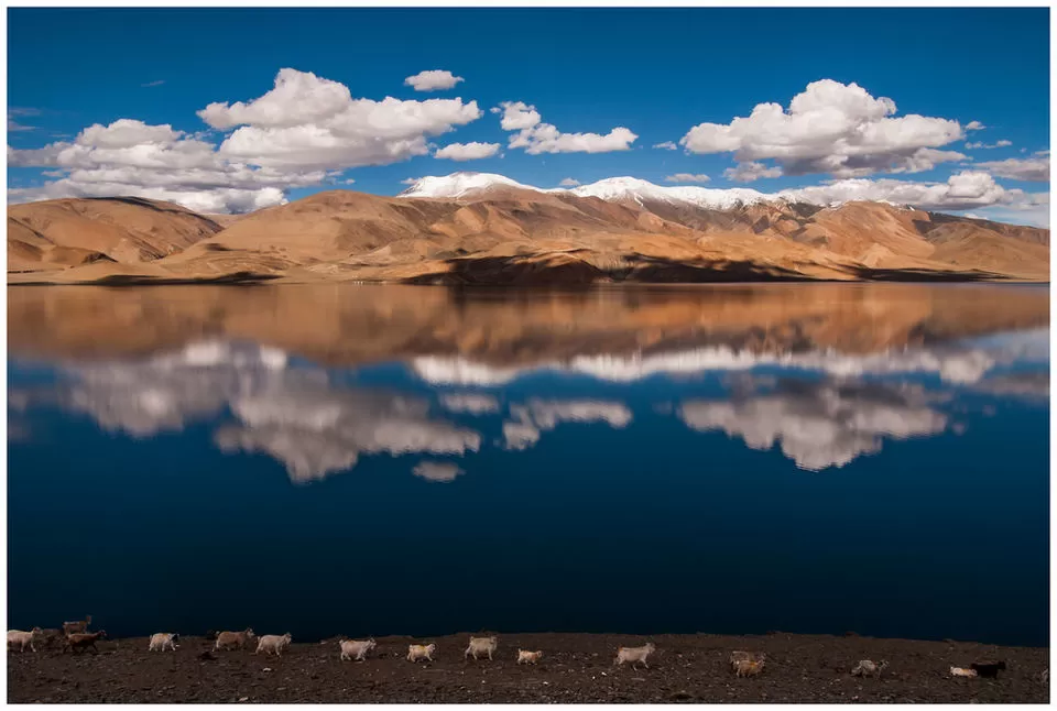Photo of Ladakh by Surjatapa Adak