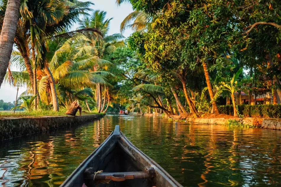 Photo of Kerala Backwater, Poovar - Neyyatinkara Road, Poovar, Kerala, India by Surjatapa Adak