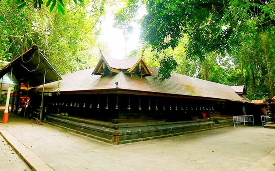 Photo of Mannarasala Temple Pond - മണ്ണാറശാല ക്ഷേത്രകുളം, Danapady Road, Haripad, Kerala, India by Surjatapa Adak