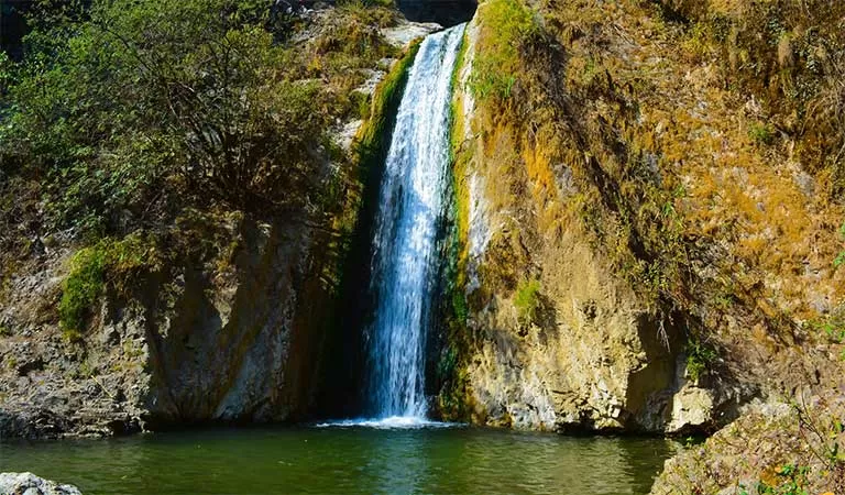 Photo of Jharipani Waterfall, Barlow Ganj, Mussoorie, Uttarakhand, India by Surjatapa Adak
