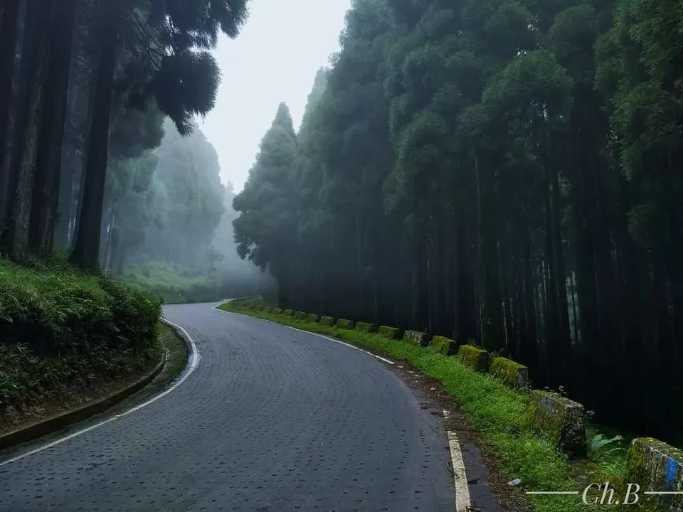 Photo of Lepcha Jagat, West Bengal, India by Surjatapa Adak