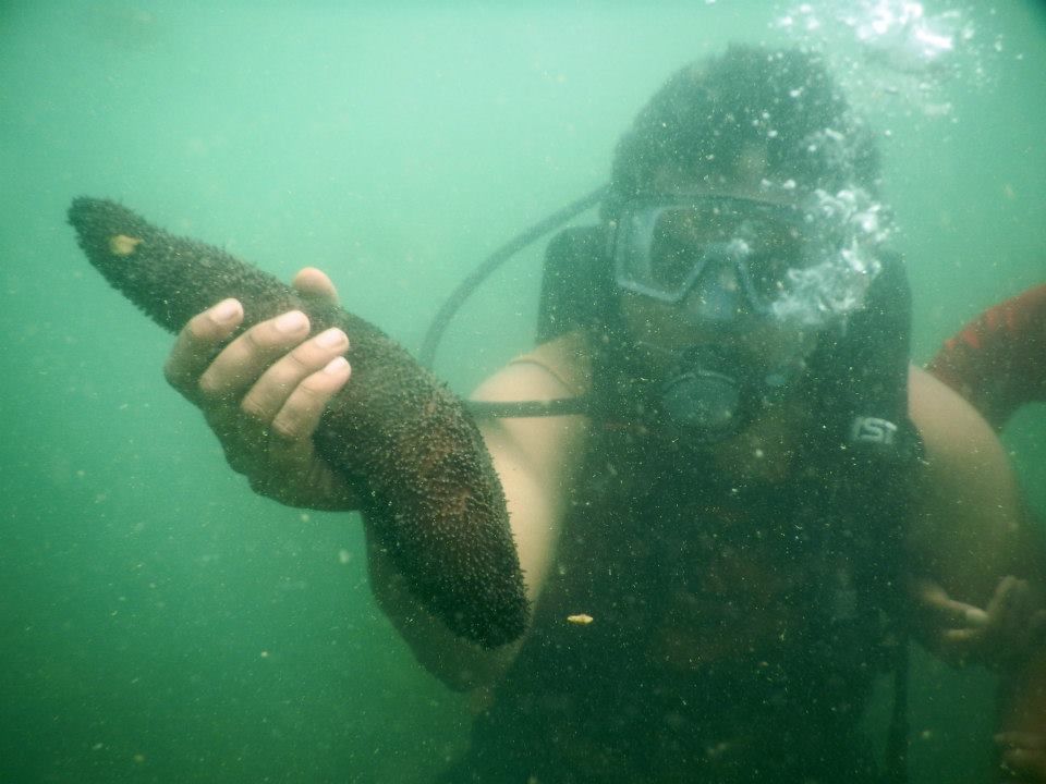 Photo of Scuba Diving & Water Sports Malvan\Tsunami Island 4/14 by Abhijit Khadapkar