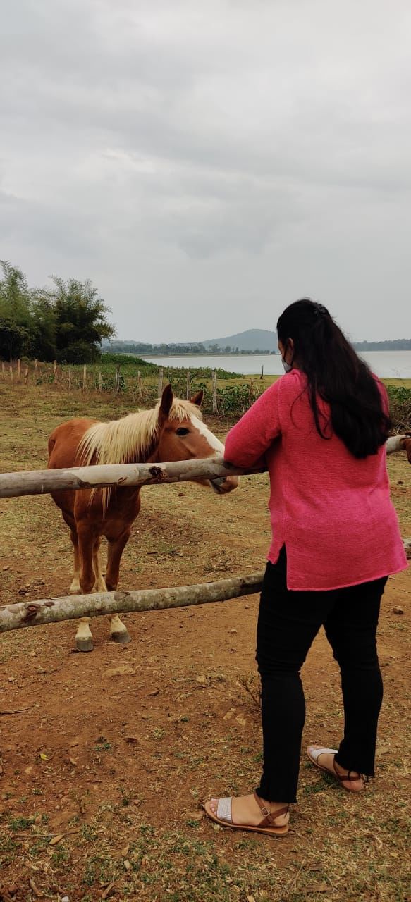 Photo of New years at a jungle resort in Kabini by Two Tickets Only