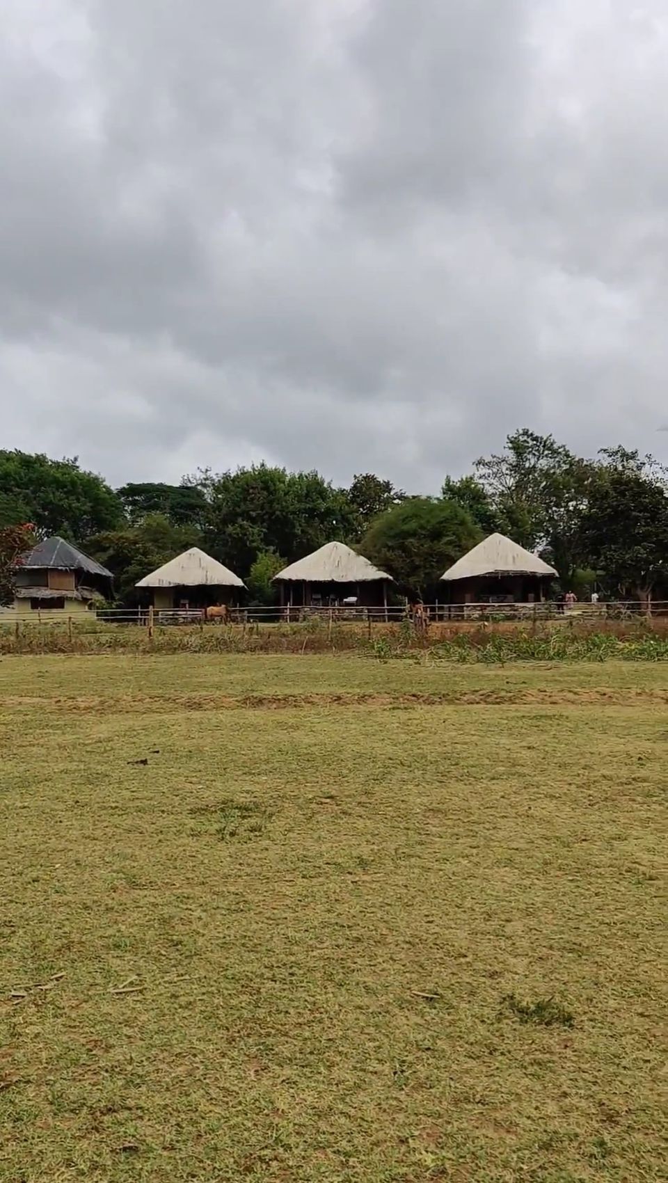 Photo of New years at a jungle resort in Kabini by Two Tickets Only