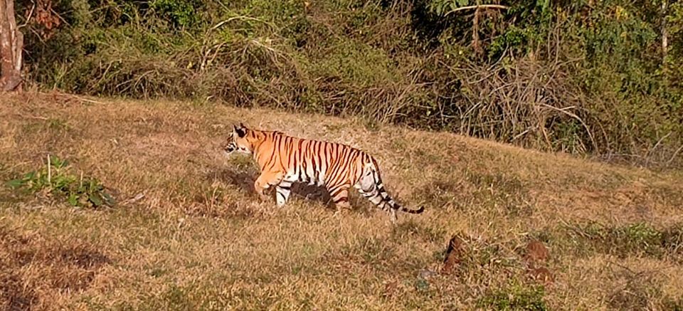 Photo of New years at a jungle resort in Kabini by Two Tickets Only