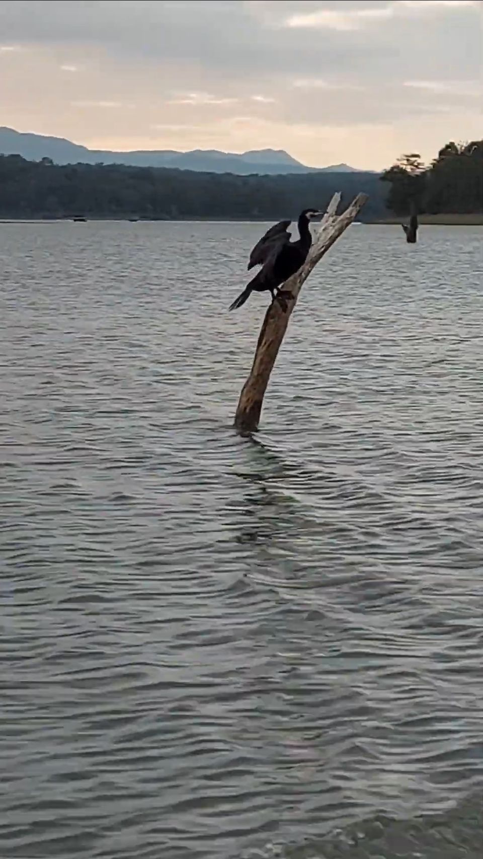 Photo of New years at a jungle resort in Kabini by Two Tickets Only