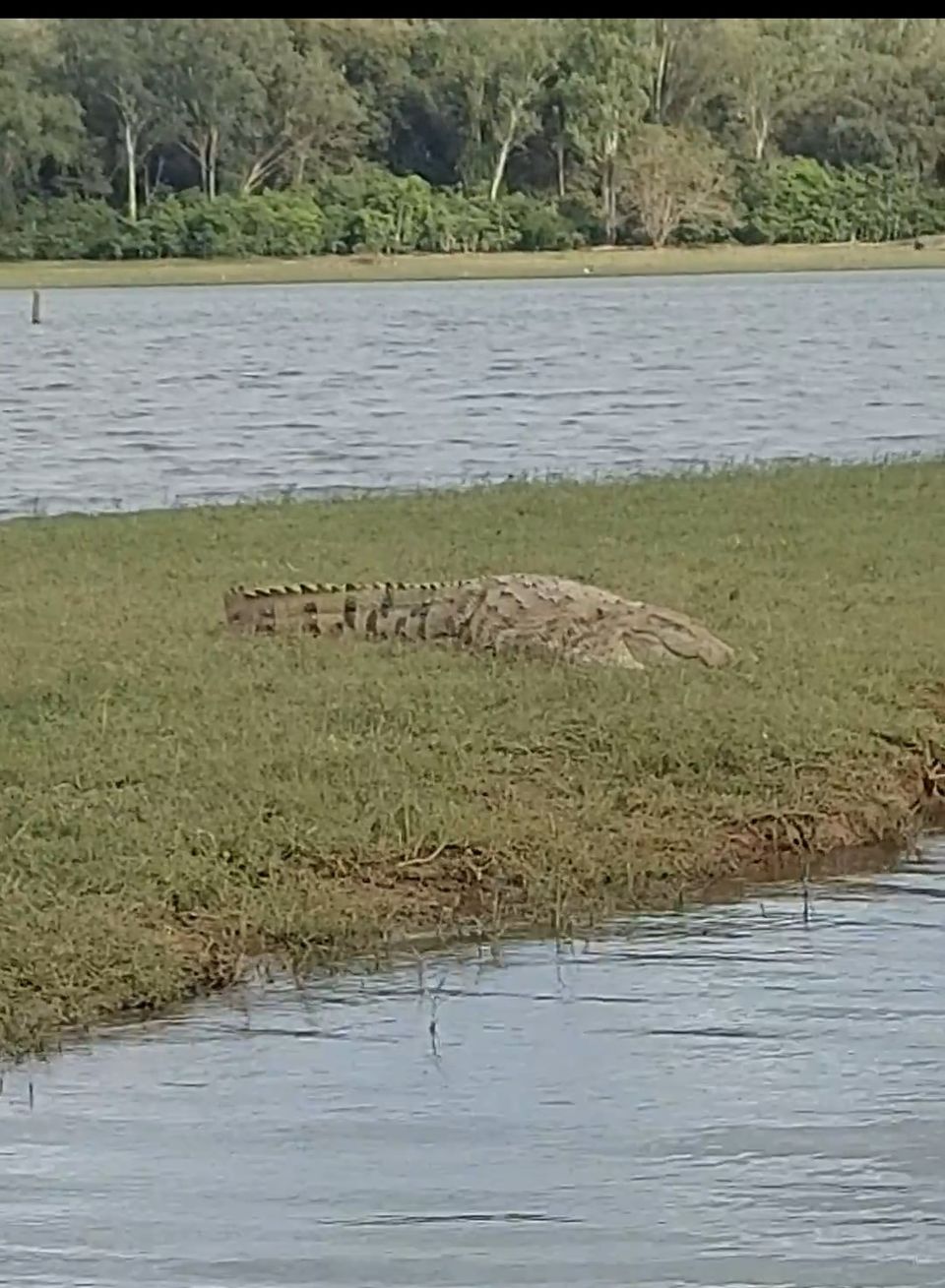 Photo of New years at a jungle resort in Kabini by Two Tickets Only