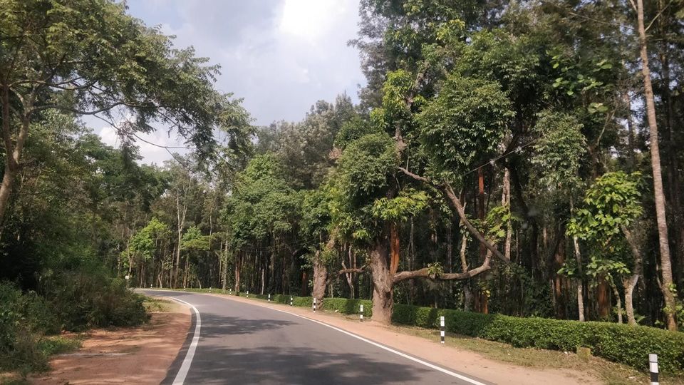 Photo of Chikmagalur - The land of coffee - via Sakleshpur - a drive through the forests | Wandering Bong by Wandering Bong