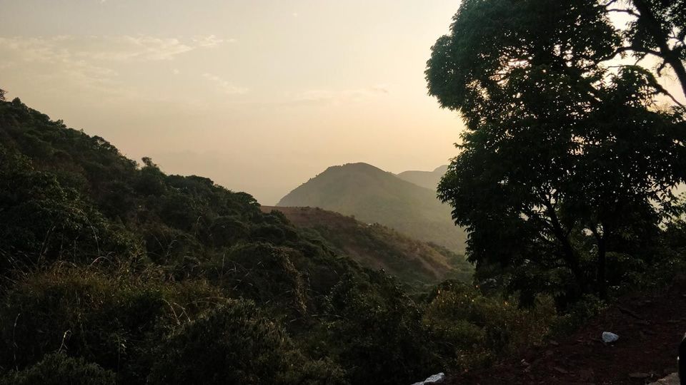 Photo of Chikmagalur - The land of coffee - via Sakleshpur - a drive through the forests | Wandering Bong by Wandering Bong