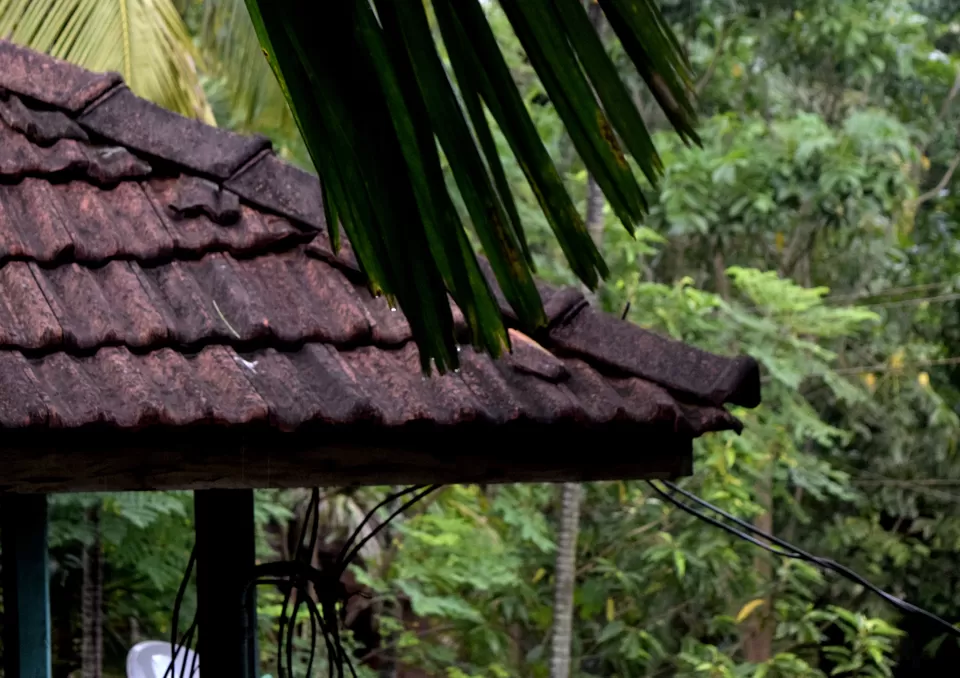 Photo of Diveagar, Maharashtra, India by debshraddha panda