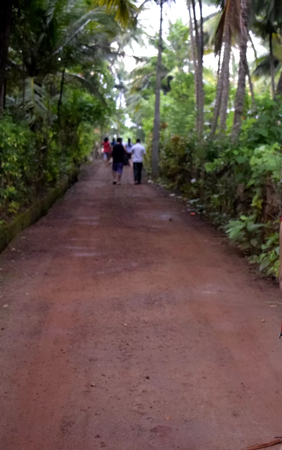 Photo of Diveagar, Maharashtra, India by debshraddha panda