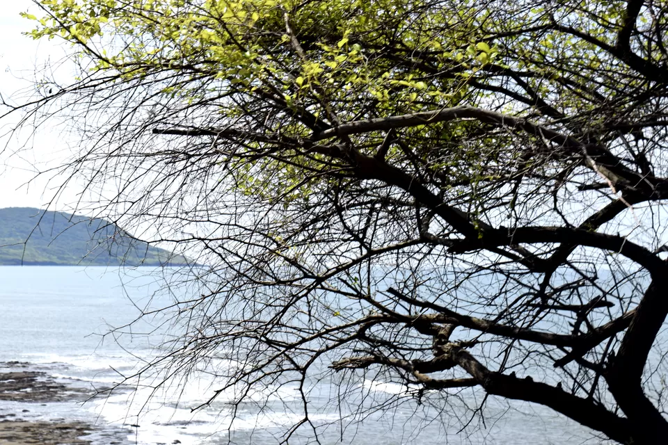 Photo of Shrivardhan, Shrivardhan, Maharashtra, India by debshraddha panda