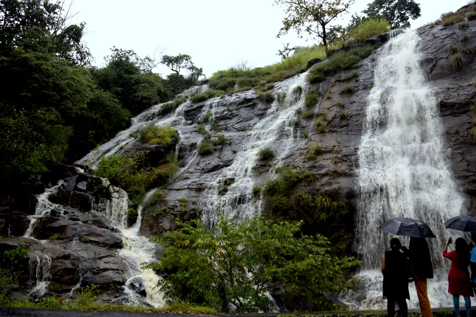Photo of Western Ghats Forest Range, Villukuri, Tamil Nadu 629301, India by debshraddha panda