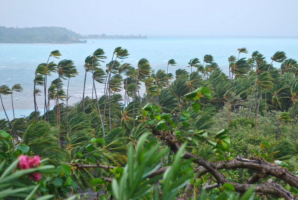 Photo of Hilton Bora Bora Nui Hotel, Pā'ea, Windward Islands, French Polynesia by Jenny McIver