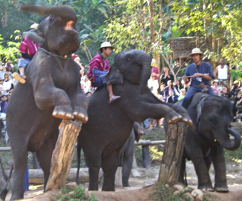 Photo of Chiang Mai Thailand by Jenny McIver