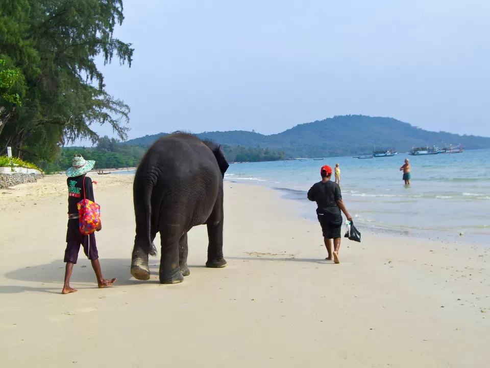 Photo of Ko Phi Phi Leh Ao Nang Krabi Thailand by Jenny McIver