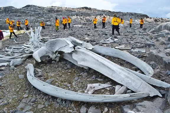 Photo of Port Lockroy, Antarctica by Jenny McIver
