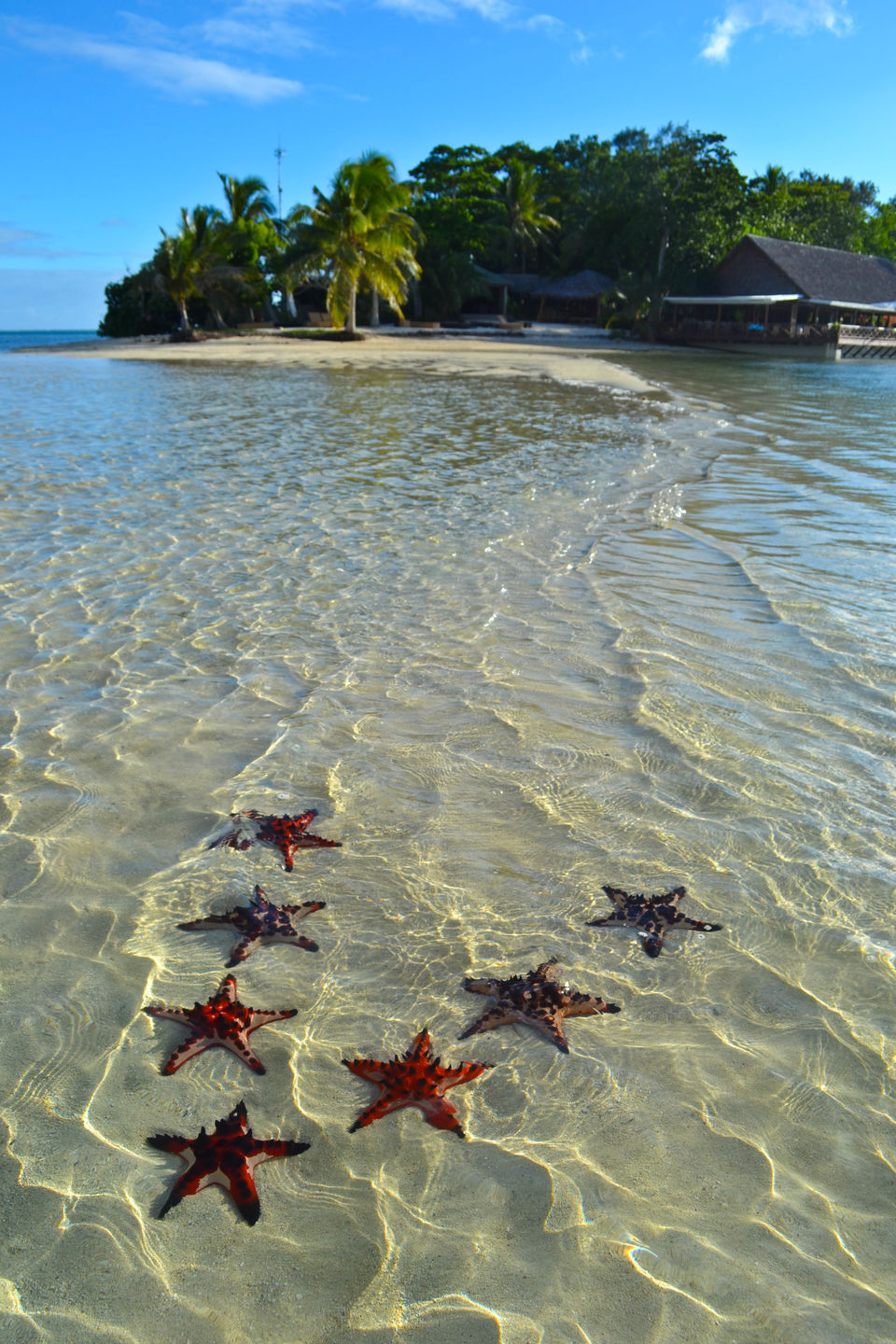 Photo of Vanuatu by Jenny McIver
