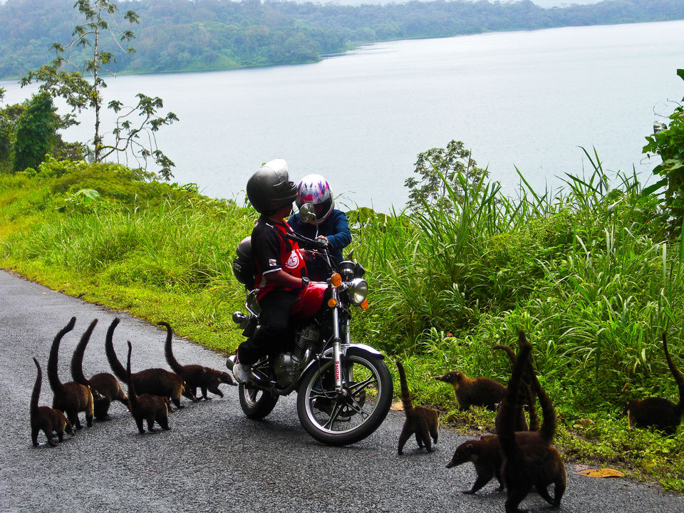 Photo of Around the World in 30 days : My Fourth Solo Adventure 8/12 by Jenny McIver
