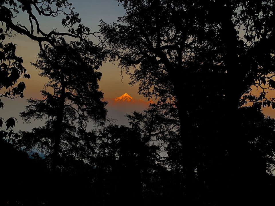 Photo of Ranikhet - Munsyari (1st - 2nd Day) by suraj bisht