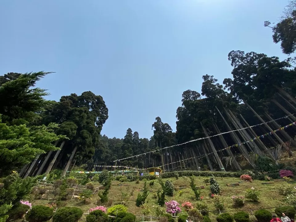 Photo of Lamahatta Eco Park, Tukdah, West Bengal, India by Bhatura&Samosa