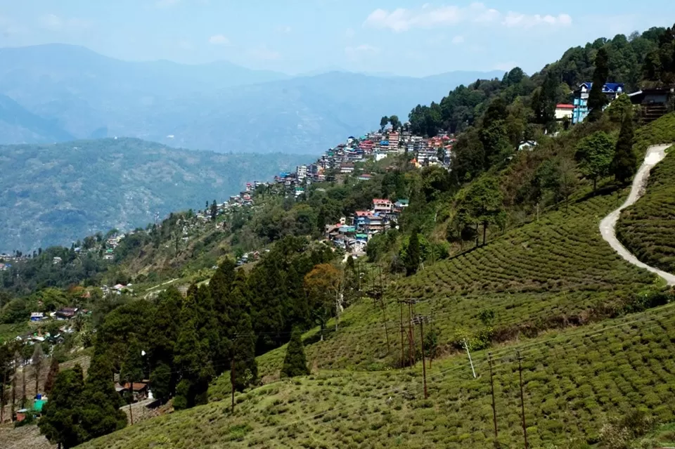 Photo of Happy Valley Tea Estate, Near, Darjeeling, West Bengal, India by Bhatura&Samosa