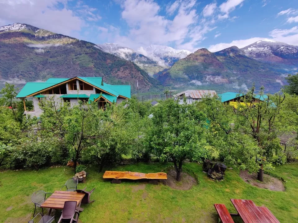 Photo of Treetops Cottage, District Kullu, Himachal Pradesh, India by isheta mishra