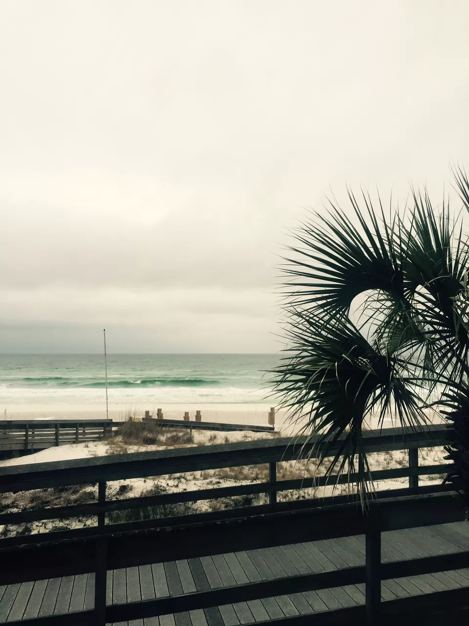 Photo of Hilton Sandestin Golf Resort & Spa, South Sandestin Boulevard, Miramar Beach, FL, United States by Kimberly Fisher