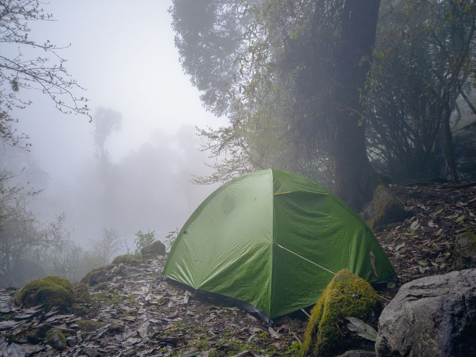 Photo of Trek to TheKhangchendzonga National Park by TRIDIPTA GHOSH