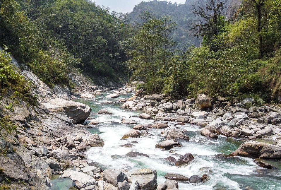 Photo of Trek to TheKhangchendzonga National Park 2/22 by TRIDIPTA GHOSH