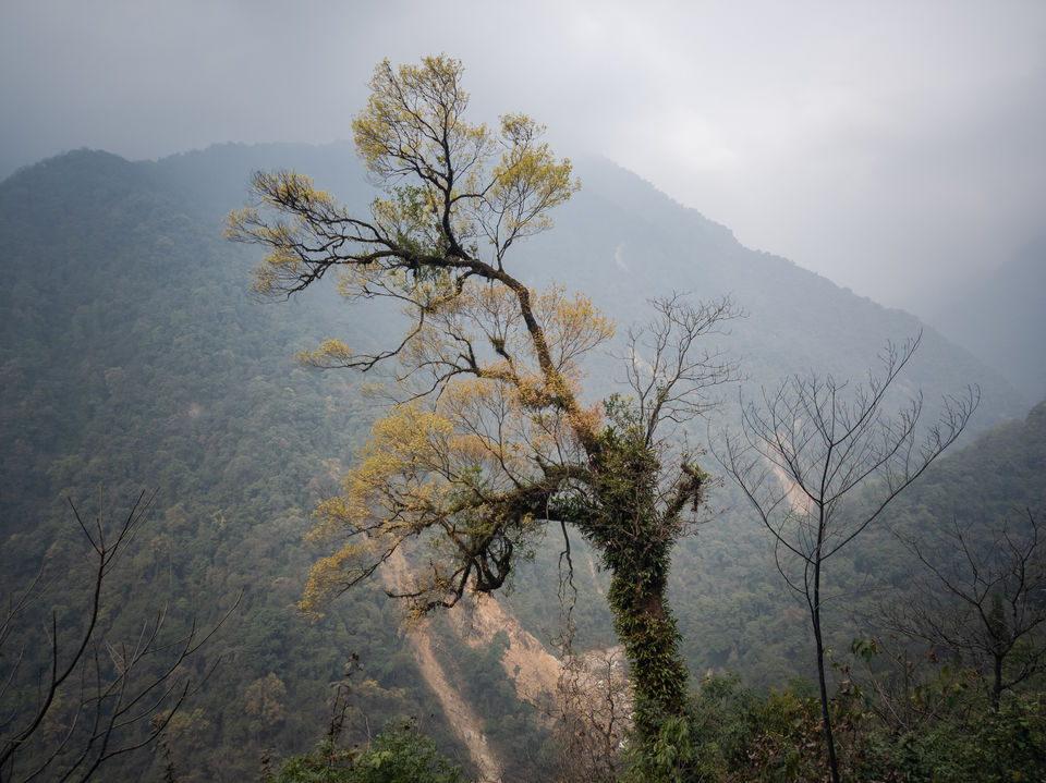Photo of Trek to TheKhangchendzonga National Park 5/22 by TRIDIPTA GHOSH