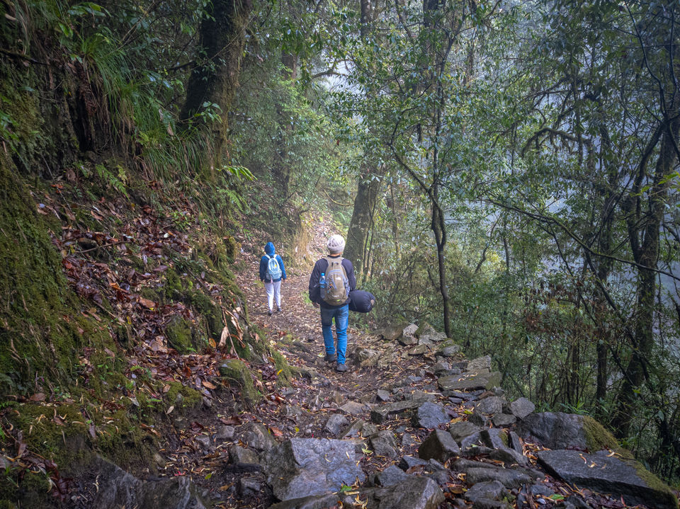Photo of Trek to TheKhangchendzonga National Park 6/22 by TRIDIPTA GHOSH