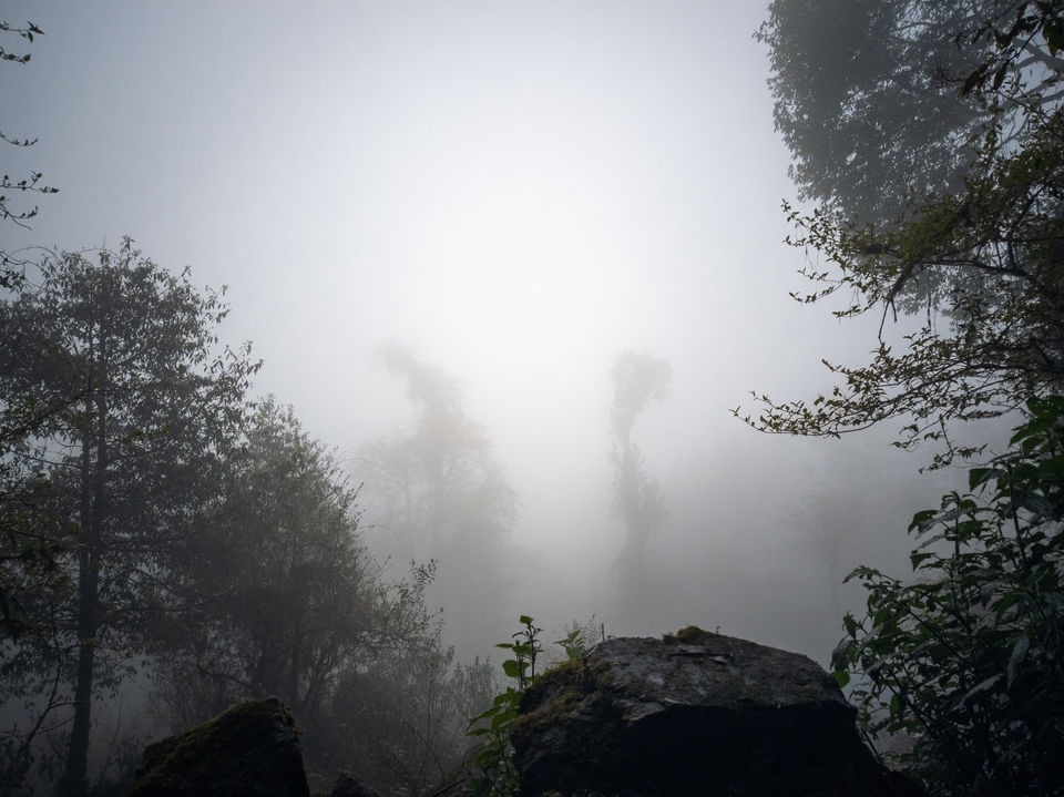 Photo of Trek to TheKhangchendzonga National Park 17/22 by TRIDIPTA GHOSH