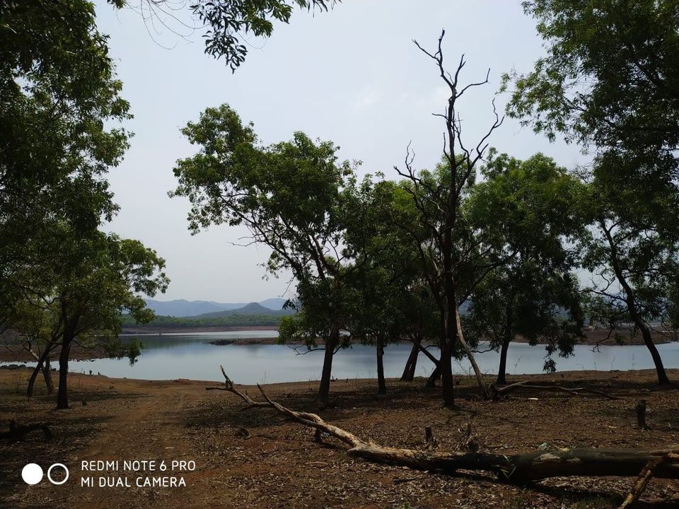 Photo of Curdi: The Submerged Village, Goa by Vaibhavi Naik