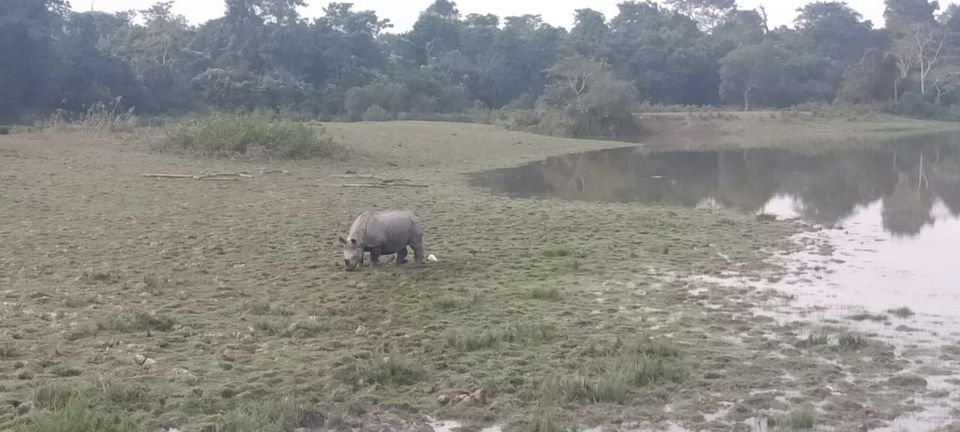 Photo of Hop With Me to Kaziranga 6/7 by Hrishiraj Talukdar