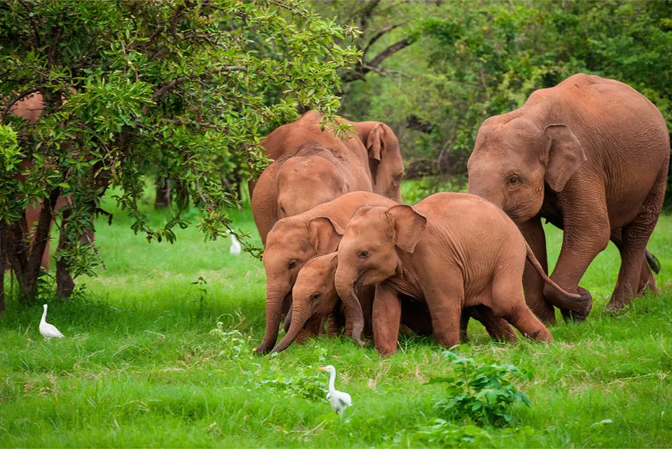 Photo of Hambantota, Sri Lanka by Sarah Shiraz