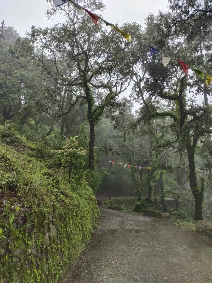 Photo of Lansdowne, Uttarakhand, India by Divvya Rawat