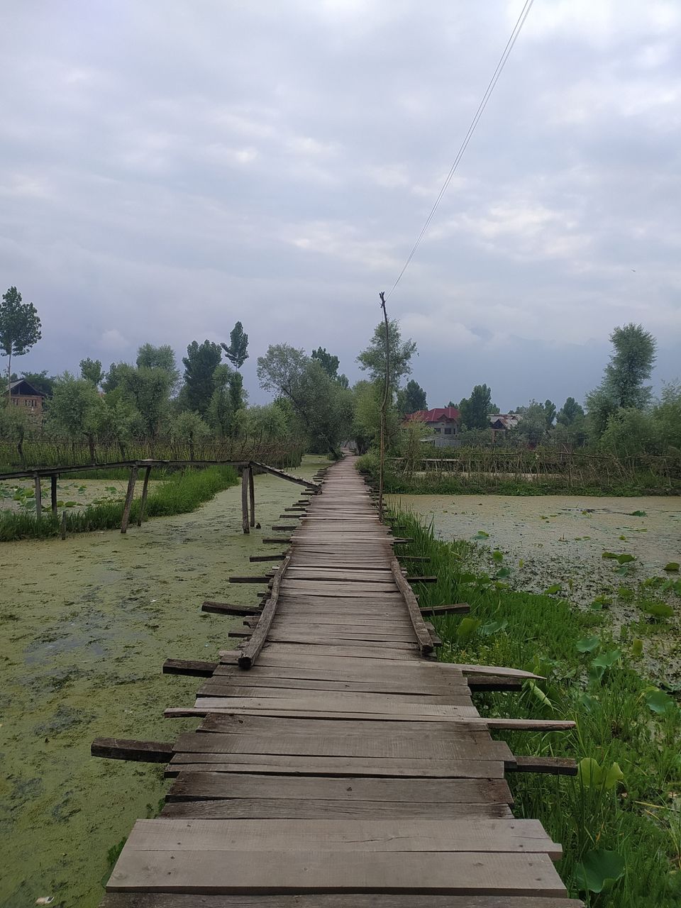 Photo of Vegetable market dal lake Srinagar by DANISH ALI