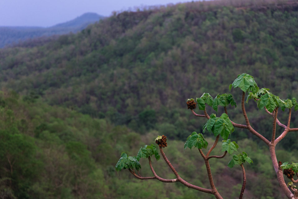 Photo of Rankunya Waterfall, Indore - An Undiscovered Beauty Hidden Amidst Gorgeous Environs 6/8 by Kshitish Pandey