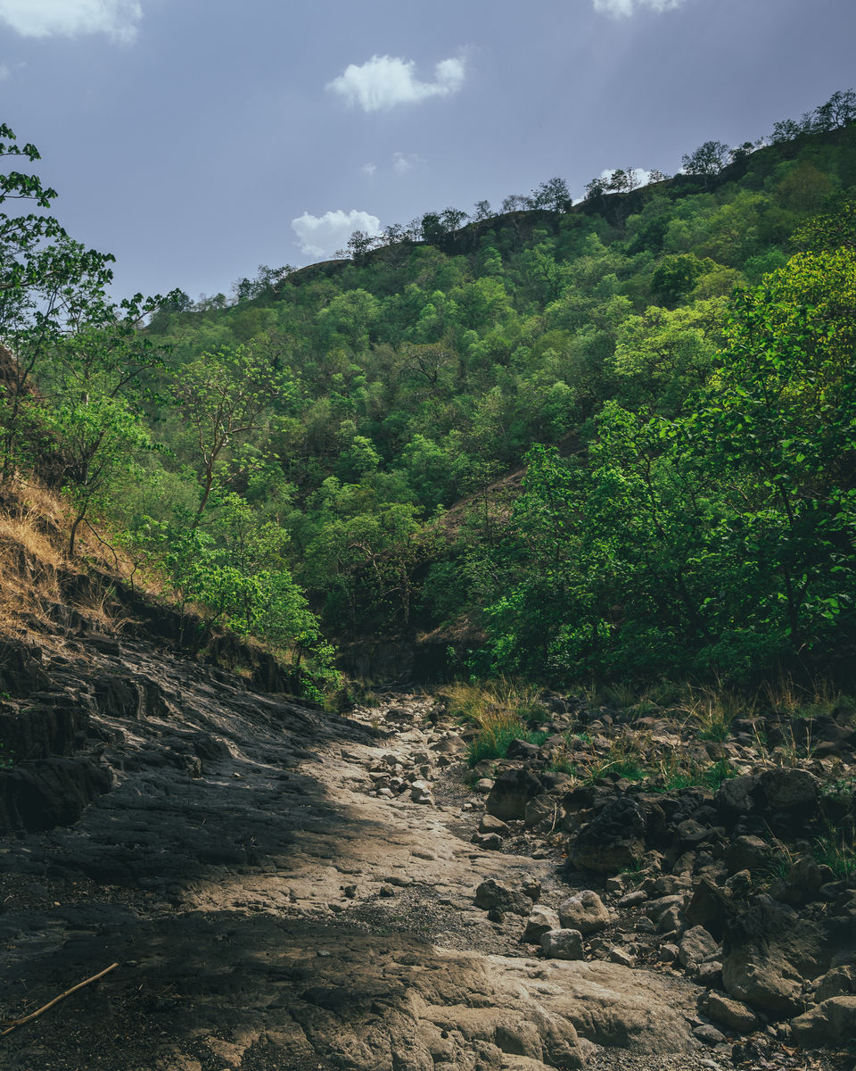 Photo of A Trek to Remember - Rankuya Waterfall, Indore 3/9 by Kshitish Pandey